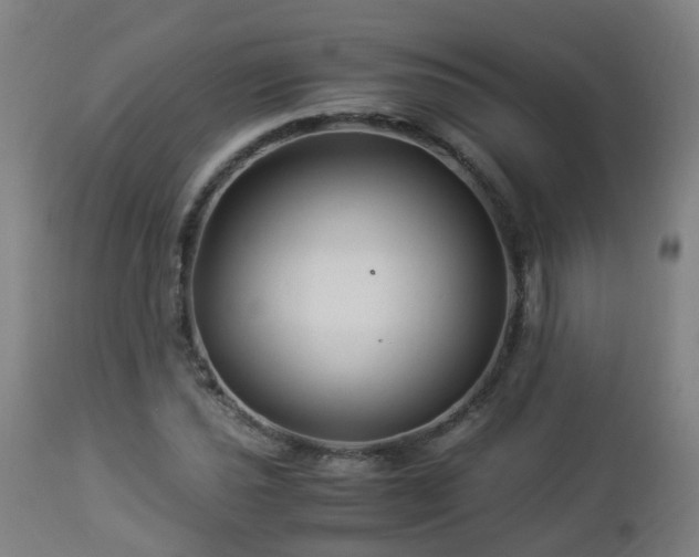 X0000112881021200908281632