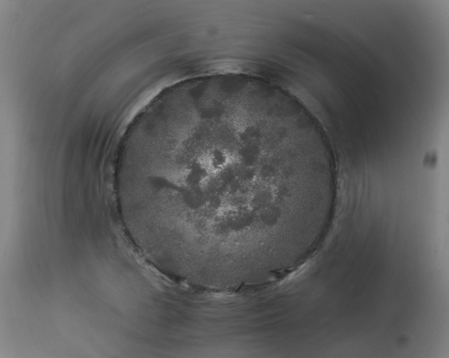 X0000112881023200908281632