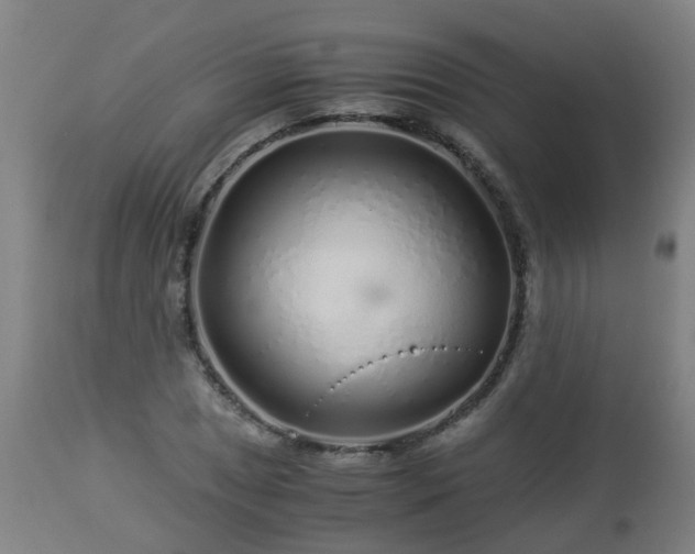 X0000112881025200908281632