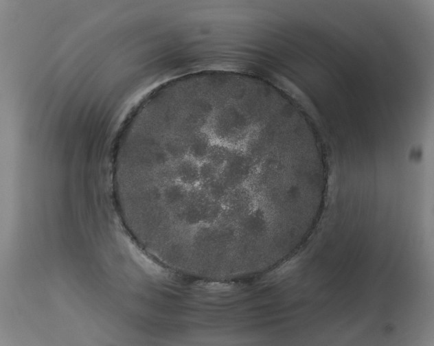 X0000112881027200908281632