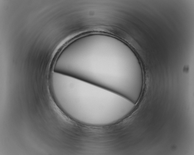 X0000112881028200908281632