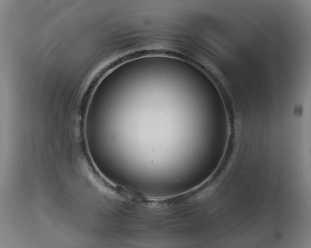 X0000112881029200908281632