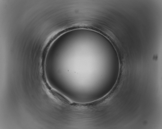 X0000112881030200908281632