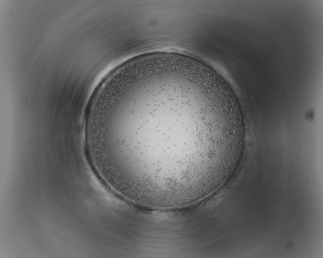 X0000112881032200908281632