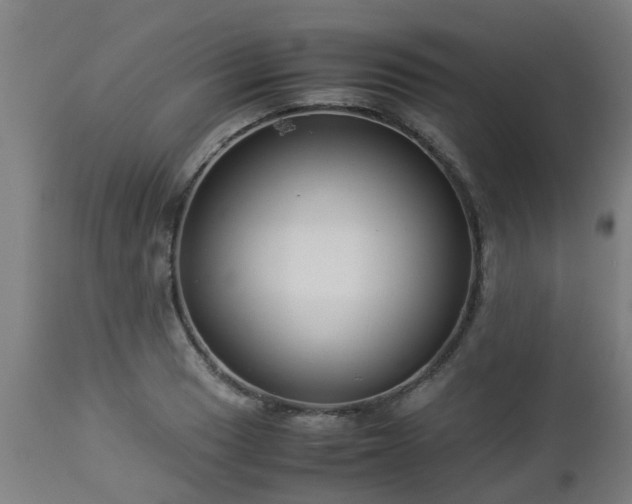 X0000112881033200908281632