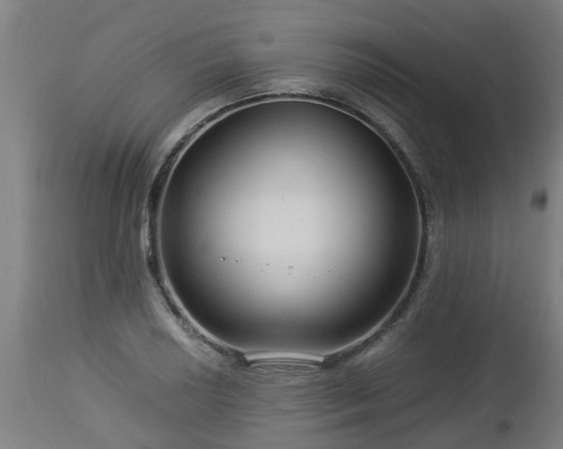 X0000112881034200908281632