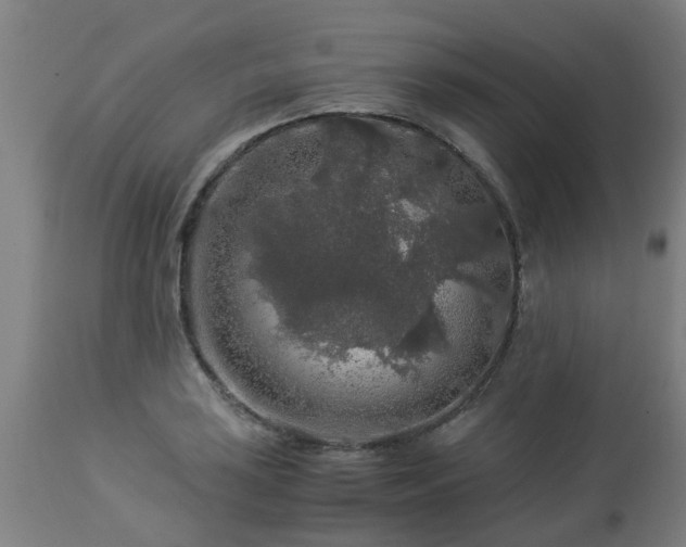 X0000112881035200908281632