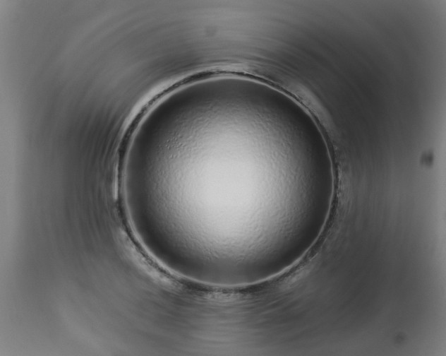 X0000112881036200908281632