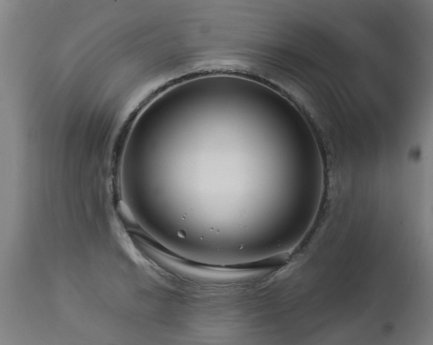 X0000112881038200908281632