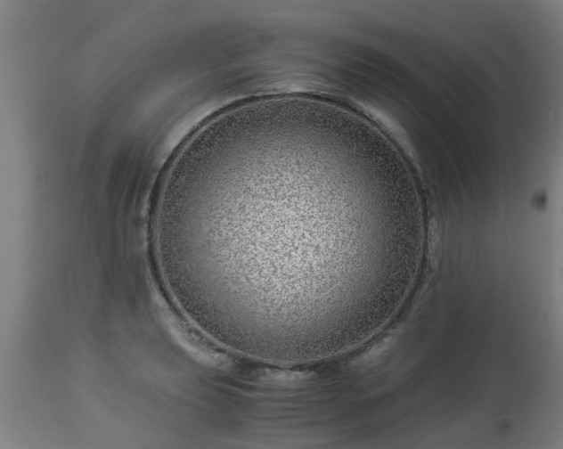 X0000112881039200908281632