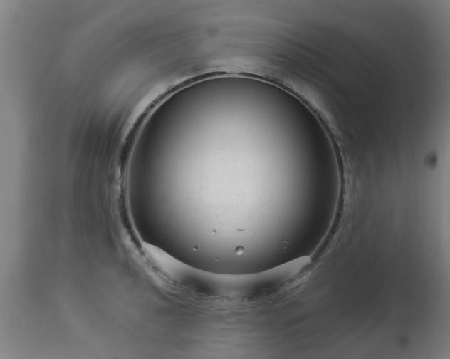 X0000112881040200908281632