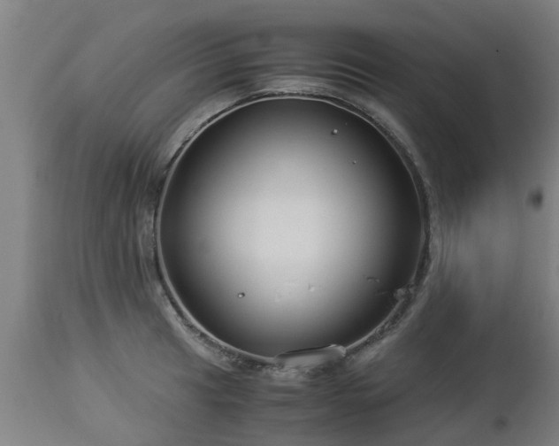 X0000112881041200908281632