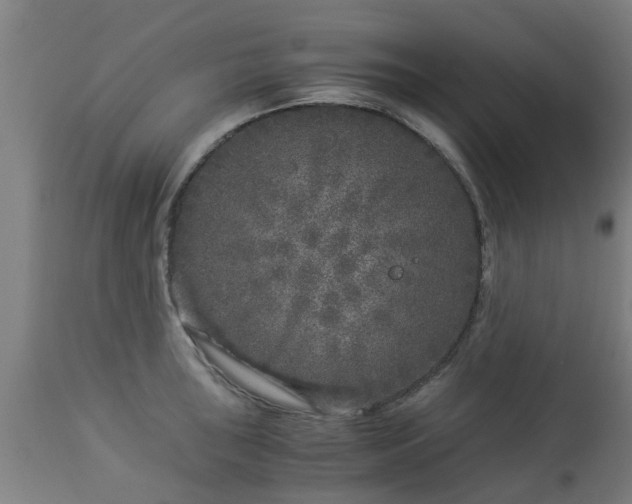 X0000112881043200908281632