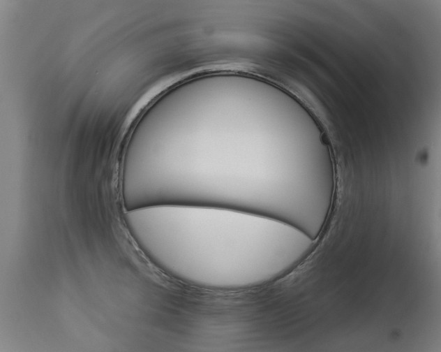 X0000112881044200908281632