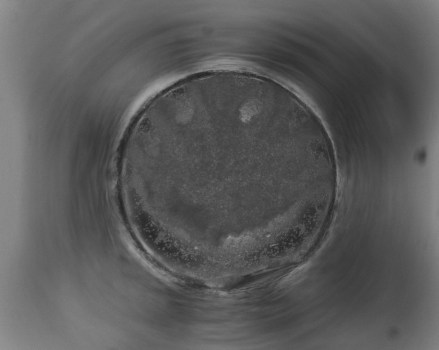 X0000112881045200908281632