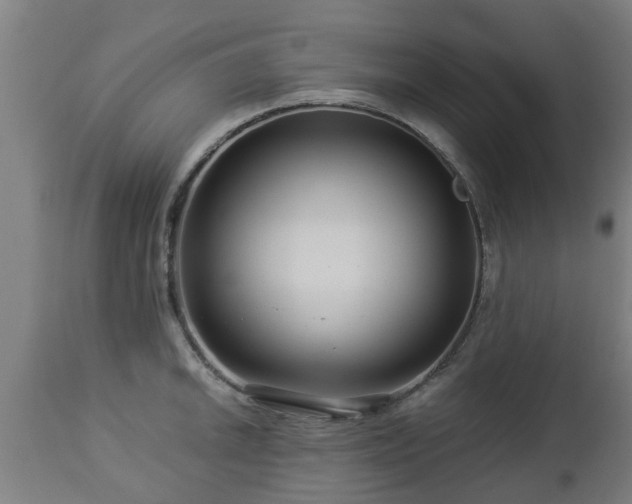 X0000112881046200908281632