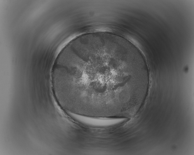 X0000112881047200908281632