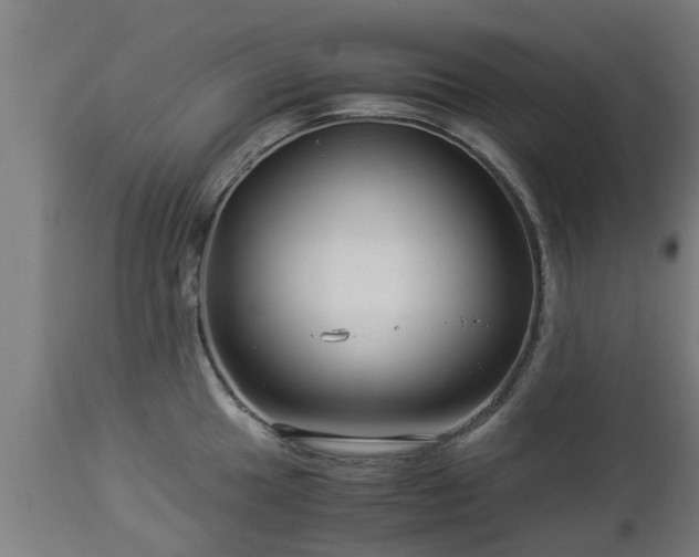 X0000112881049200908281632