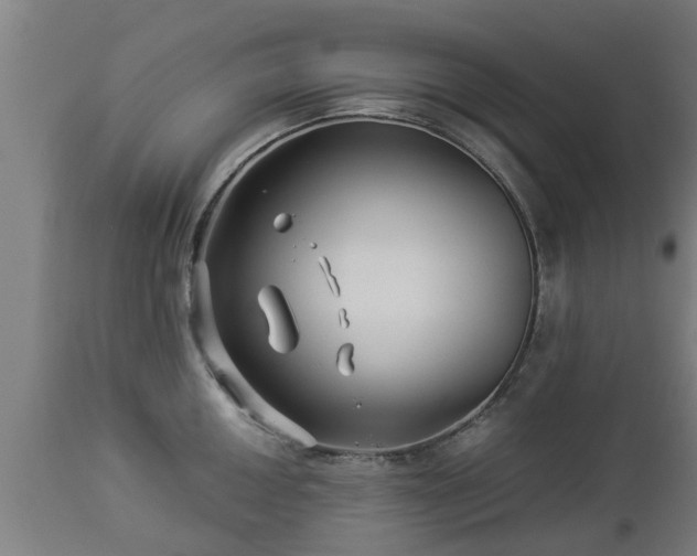 X0000112881050200908281632