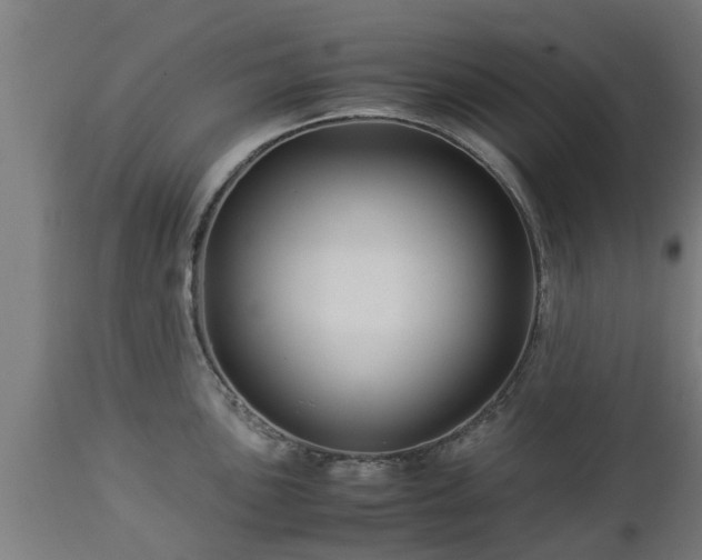 X0000112881051200908281632