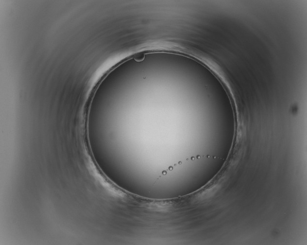 X0000112881053200908281632