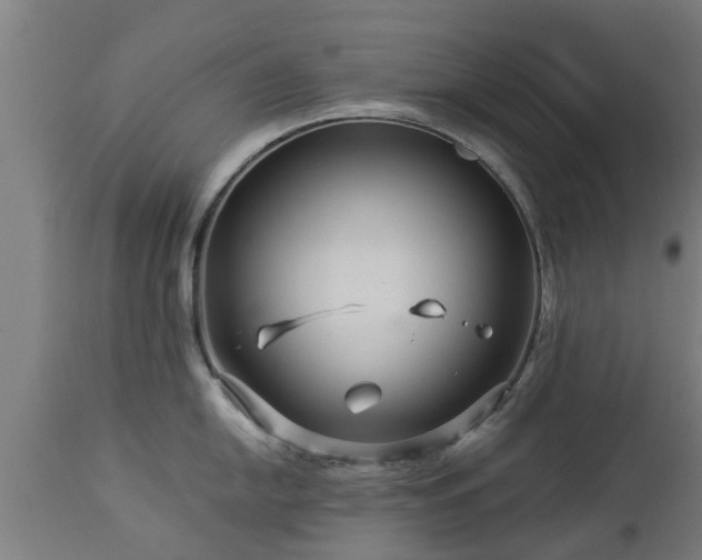 X0000112881054200908281632