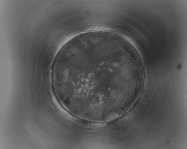 X0000112881055200908281632