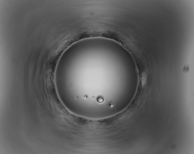 X0000112881059200908281632