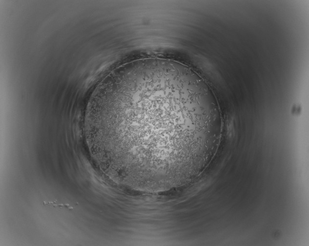 X0000112881060200908281632