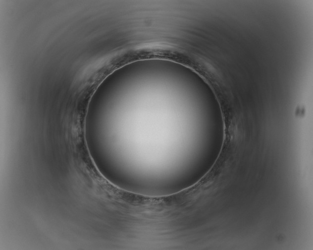 X0000112881062200908281631