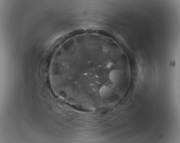 X0000112881063200908281631