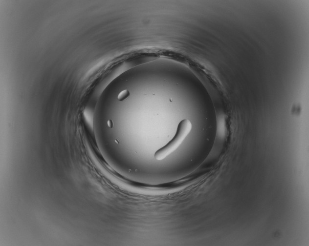 X0000112881064200908281631