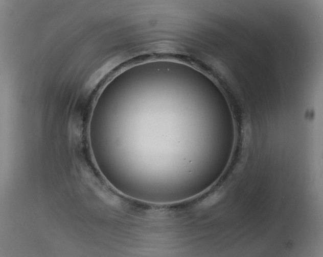 X0000112881065200908281631