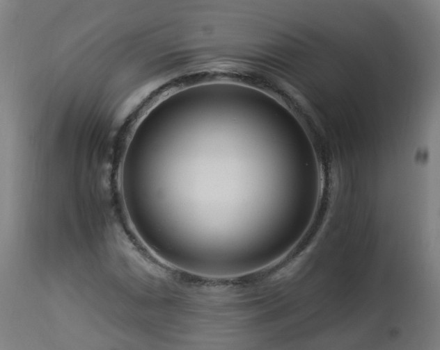 X0000112881066200908281631