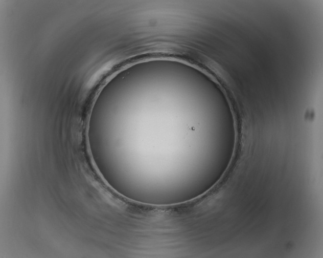 X0000112881067200908281631