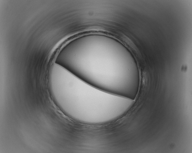 X0000112881068200908281631