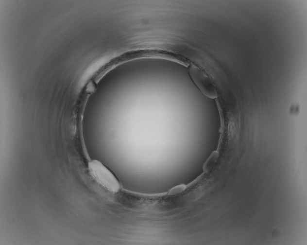 X0000112881069200908281631