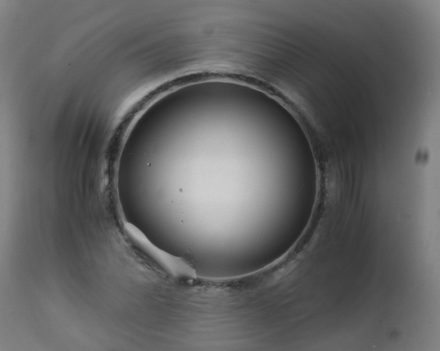 X0000112881070200908281631