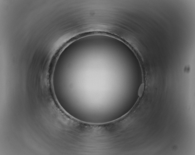 X0000112881072200908281631