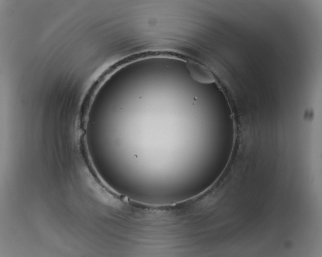 X0000112881076200908281631