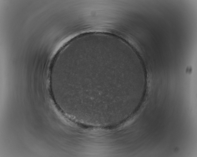 X0000112881077200908281631