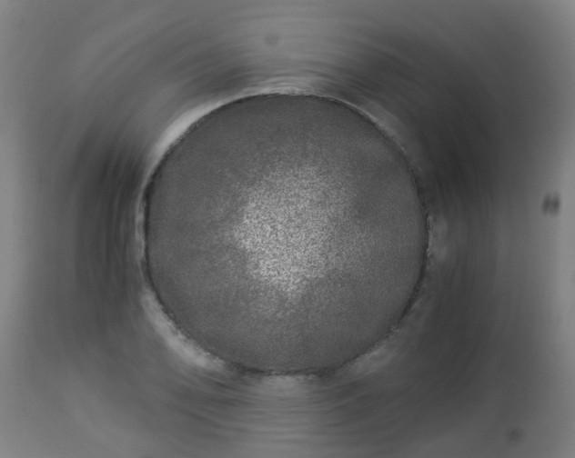 X0000112881078200908281631