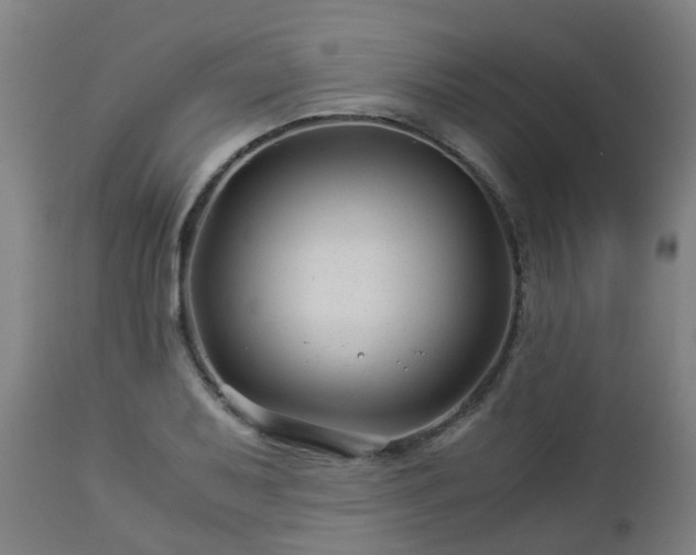 X0000112881079200908281631