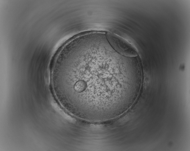 X0000112881080200908281631