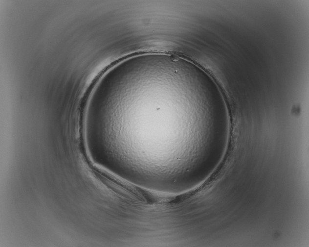 X0000112881083200908281631