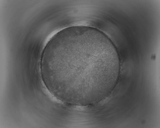 X0000112881086200908281631