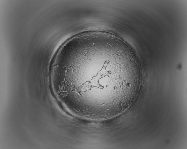 X0000112881087200908281631