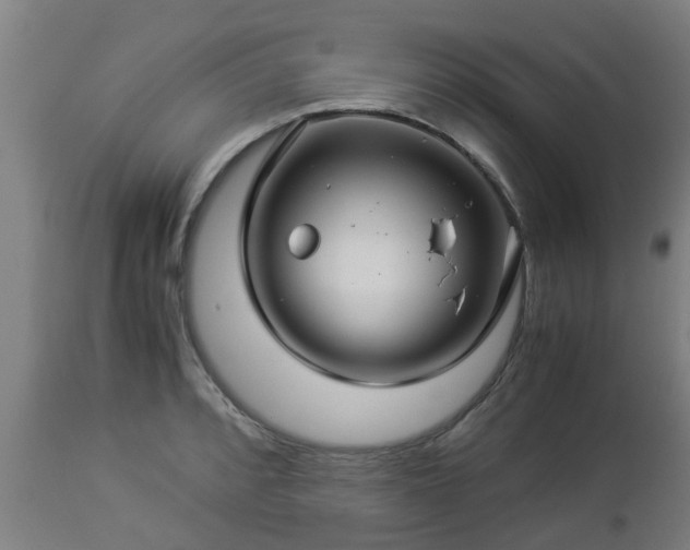 X0000112881088200908281631