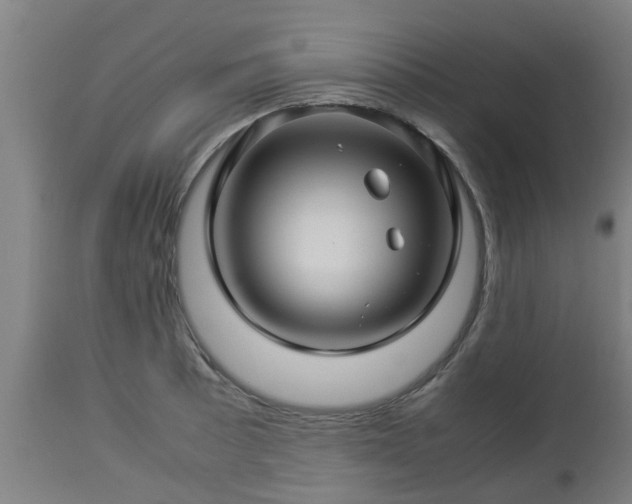 X0000112881089200908281631