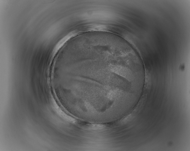 X0000112881090200908281631